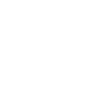 Zeynel